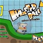 เกมหนูแฮมเตอร์บอล
